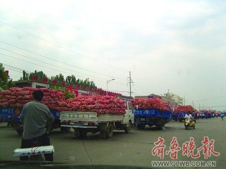 "�Ї��ⶼ"ɽ�|���l����r���^ȥ�걩�q40��