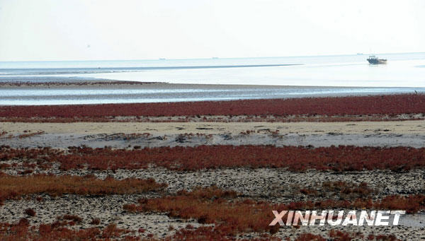 �S�������޵؅^�lչ��������ґ���[�M�D]