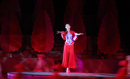 �c��DƬ�M����һ�