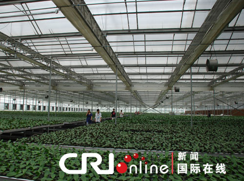 �����m�����L�Ɂ����������m���،���̩ɽ����