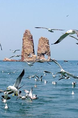 ���_����