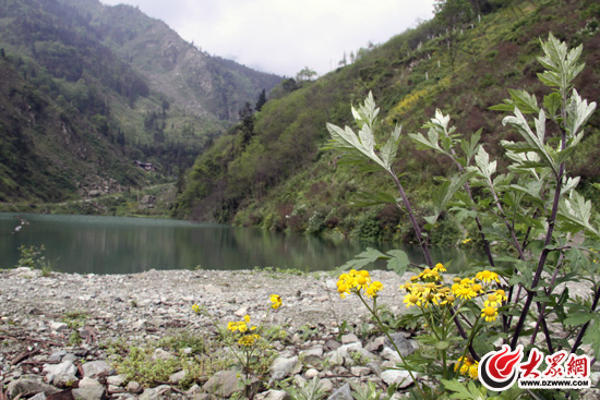 �c���g�[��һ��