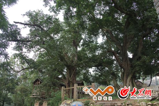 �c(di��n)���g�[��һ��