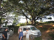 �󱊾Wӛ�����ڲ��L