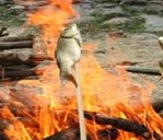 ������ĵ����y(t��ng)����