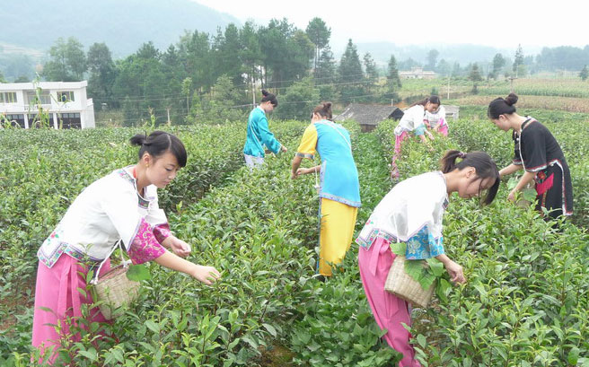 ���l(xi��ng)��Ů�ɲ���