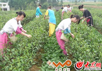 ���l(xi��ng)��Ů�ɲ���