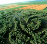 ������ò�c��Ȼ�YԴ