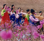 ���r���Դ��