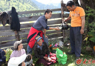 �����ڲ݈�����