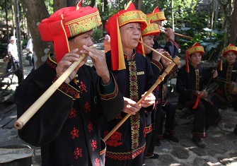 ����������ľ�����������