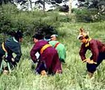 ������������g��