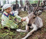 ���ؿ������