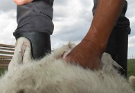 �����͈D���ך�����