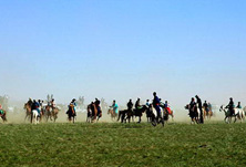 �����M56�������ͥ��֮�ɹ���