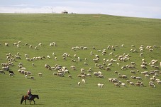 �|�ղ��ҵ����f���݈�