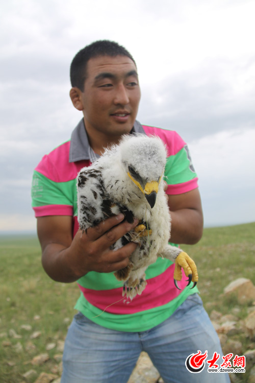 �c���g�[��һ��