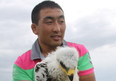 ������ʮ����Ĳ�ԭ��