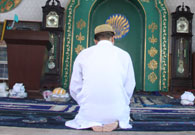 ��\����ͽ