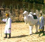 ������vʷ�śr