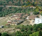 �������g���f������Ů�����������P��