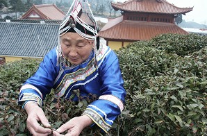 �{����󋌵Ĳ�@�ڻ�����ǰ