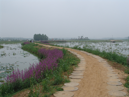 ����ͨ��