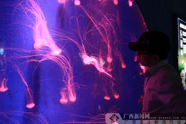 �����u�������磬�w����������{ɫ����֮��