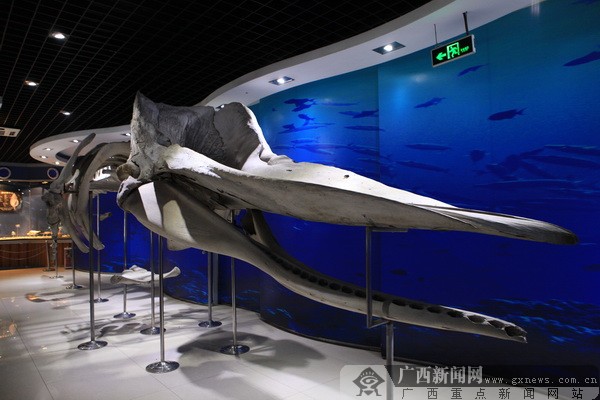 �����u�������磬�w����������{ɫ����֮��