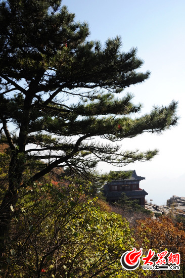 �c(di��n)���g�[��һ��