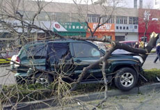 ���l(f��)�F(xi��n)��