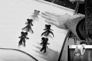 ���~��(hu��)���(du��)�������ǡ�ͨ��늡�