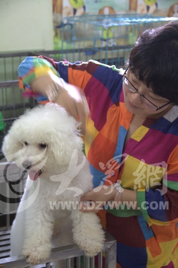 ӛ���ڞ�һֻ����Ȯ����ë�l��