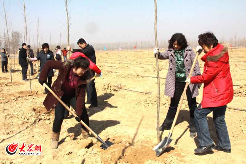 ����Փ���W(w��ng)�ѹ�ֲ�����Ę䡱