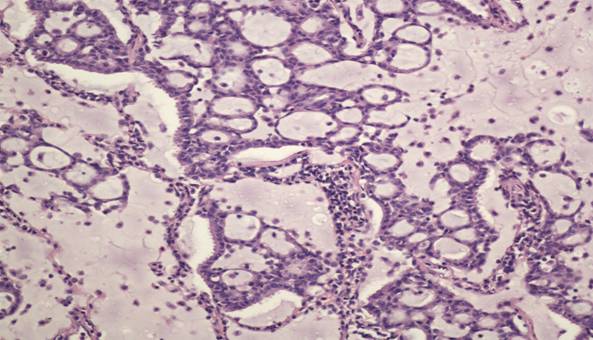 ����3+ճҺ�ٰ�+200��