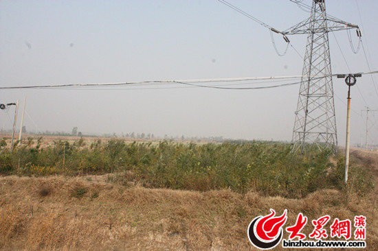 ���"����ӛ":��·�����ˮ�� �ͷ���׃��������