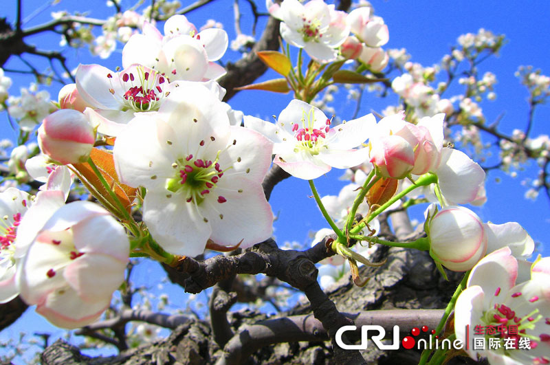 �c���鿴��һ�