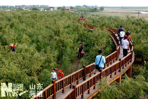 �c(di��n)���鿴��һ�(y��)