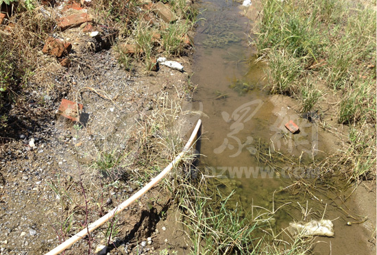 �c���g�[��һ��