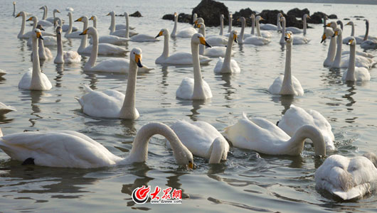 �s�ɡ������Z������