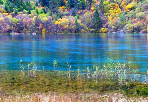 ���˹�����Ԫ���� �P�c��H�������κ�ȥ̎