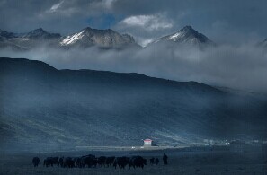 ��ɽ��˶��� �@Щ���������Ĵ�