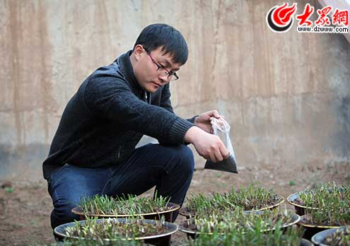 ��W�����l(xi��ng)�N�²� �����B(t��i)�r(n��ng)�I(y��)׌�r(n��ng)����w��