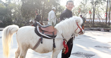 ���τ���@���R�����}�^��