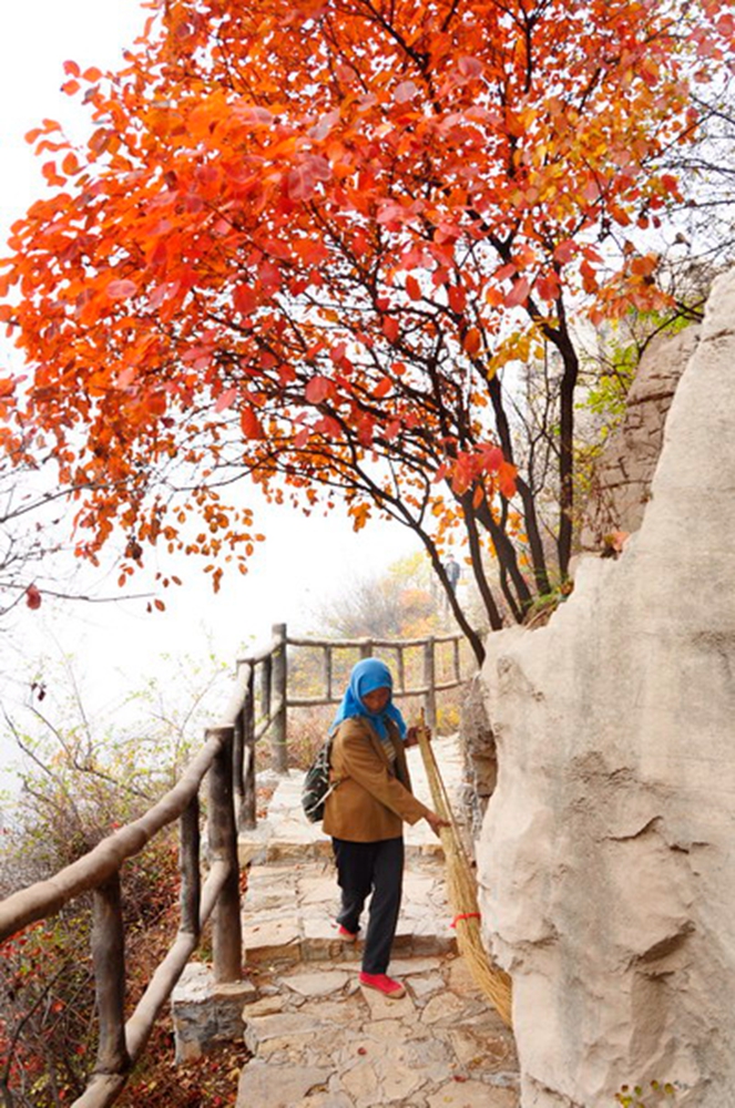 �����n���^�� �zӰ  ������ �Ԓ 13573353533.jpg