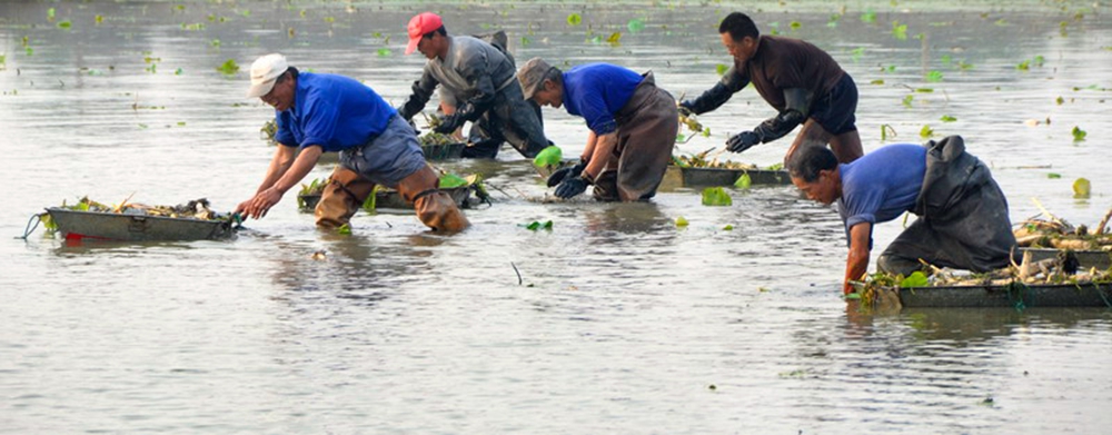 ���ڄ���ɡ� �zӰ  ������ �Ԓ 13573353533.jpg