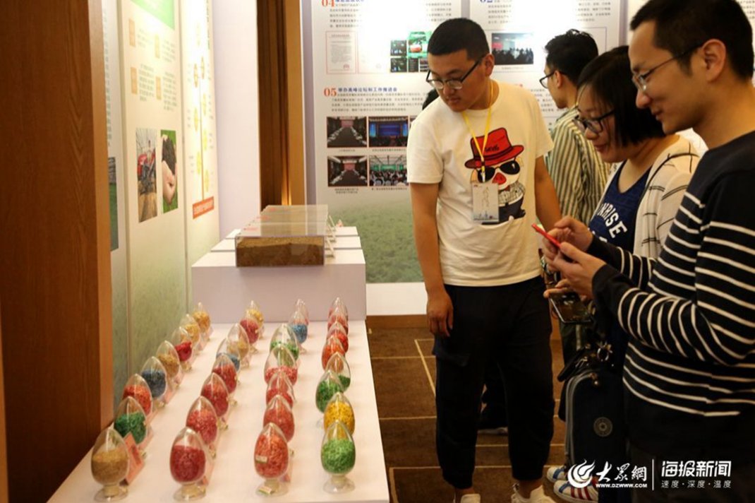 �۹�����߲��|(zh��)����(bi��o)��(zh��n)���ă�(n��i)չʾ���߲˷N��