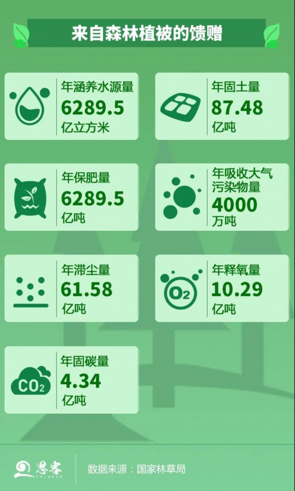 1����ɭ��ֲ������ٛ