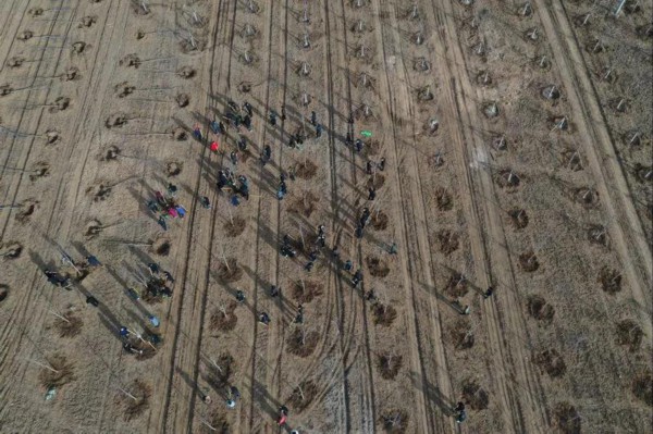 ��3��12�գ�־Ը���ںӱ�ʡ�ȷ��д�S�������οh�۸�����m�V��ֲ�䣨�o�˙C��Ƭ�������A��l������ �z��