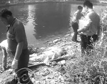 �o��ʬ�o�˹� �ɳ���Ƿ�U���x�^18�f�����M